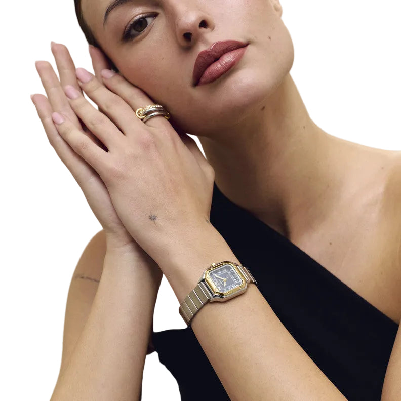 Reloj para Mujer Chris Her Bitone Blue Dial Radiant